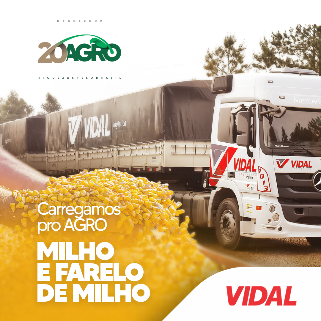 TRANSPORTE MILHO COM QUEM VOCÊ PODE CONFIAR!