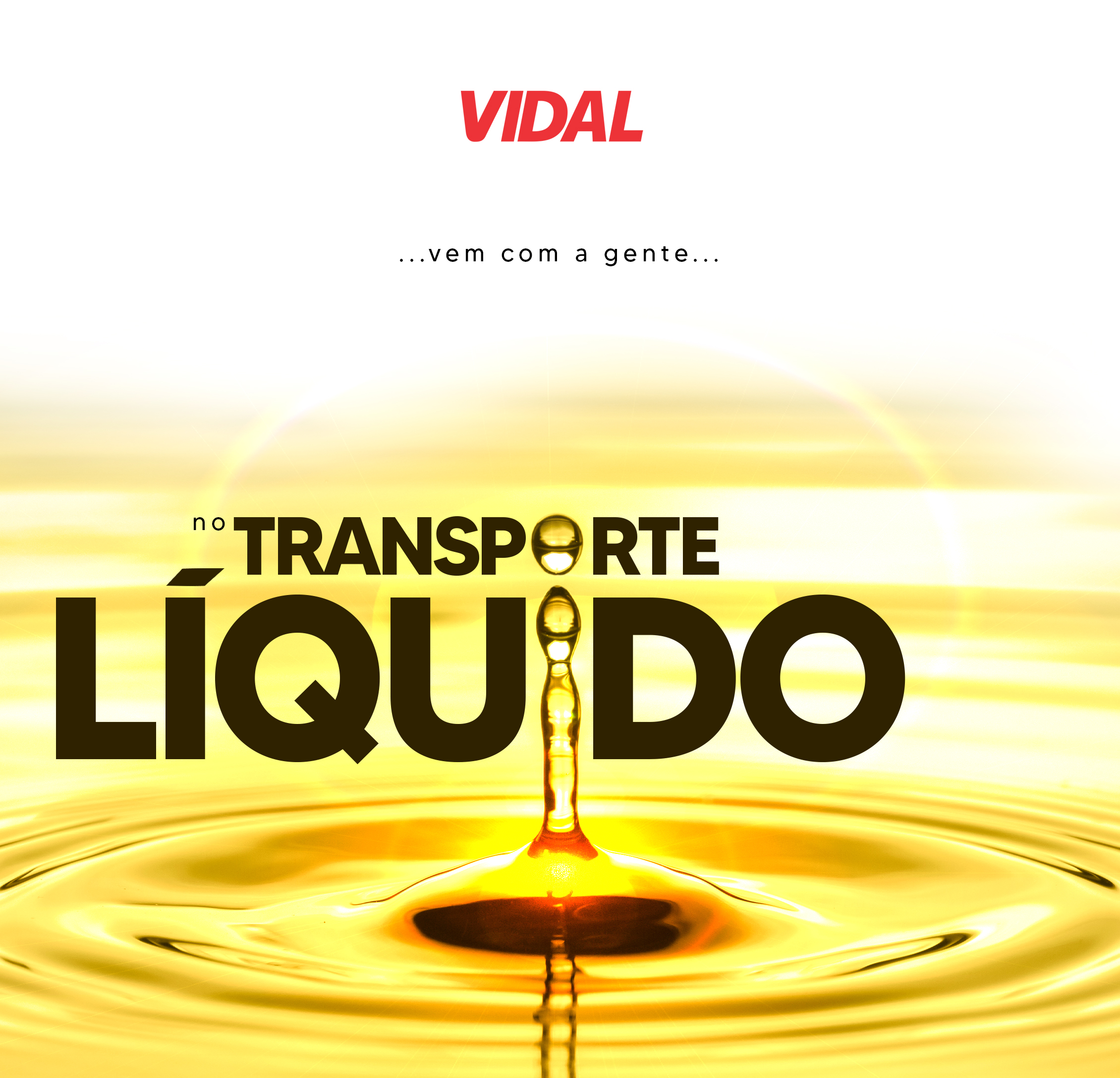 TRANSPORTE DE LÍQUIDOS: CUIDADOS E PARTICULARIDADES