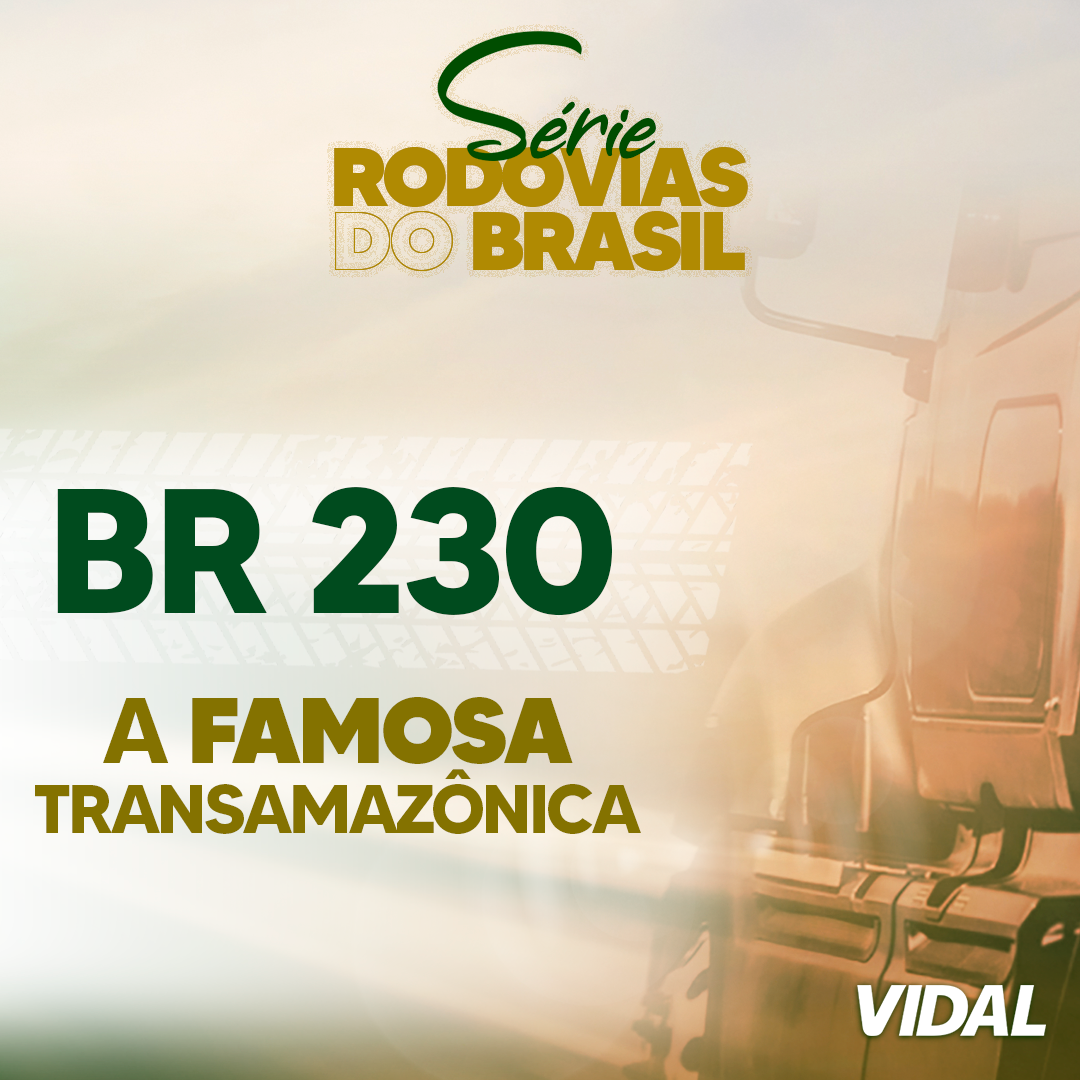 BR 230 - A TRANSAMAZÔNICA