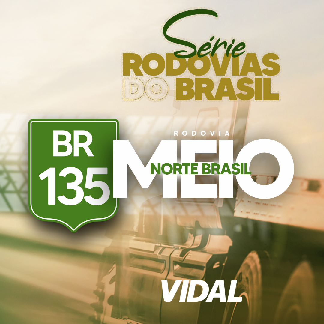 BR 135 - DO MARANHÃO A MINAS GERAIS