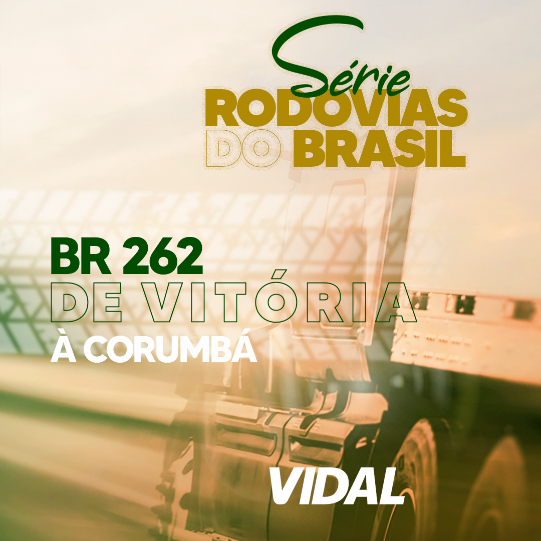 BR 262 -  DO ESPÍRITO SANTO AO MATO GROSSO DO SUL