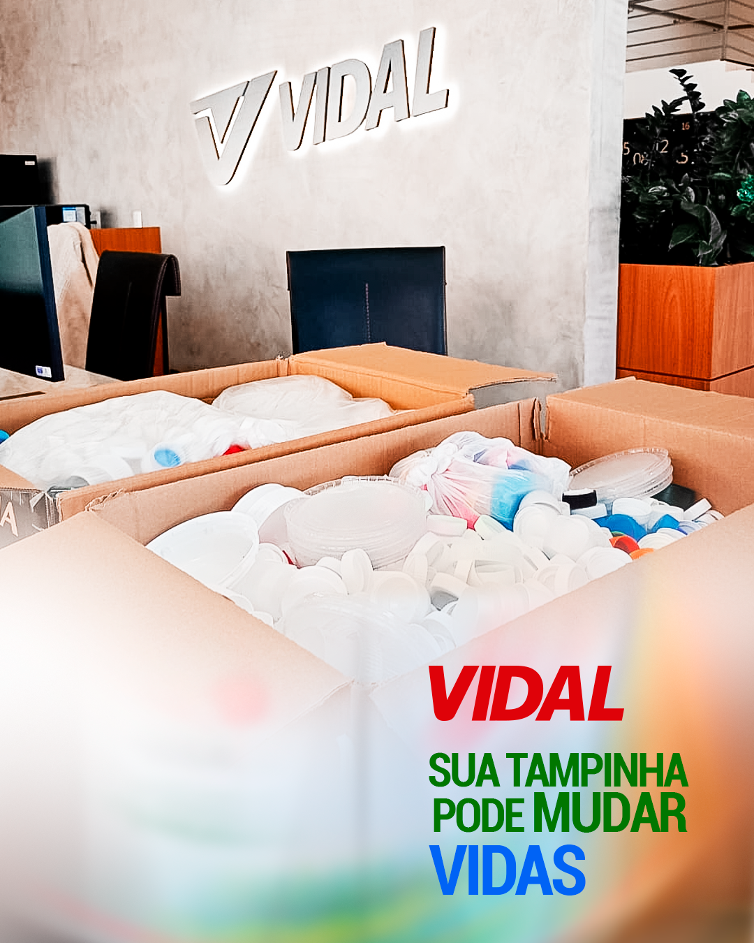 Transvidal e ADAU: 10 kg de Solidariedade e Sustentabilidade transformam Vidas em Erechim